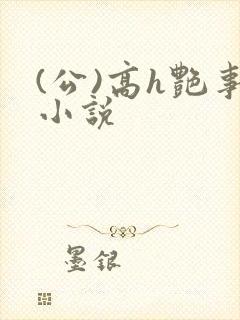 (公)高h艳事小说