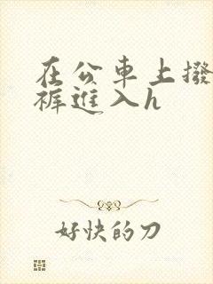 在公车上拨开内裤进入h