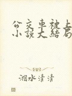公交车被上高潮小说大结局