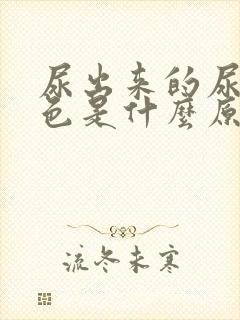 尿出来的尿是红色是什么原因