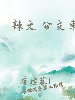 辣文 公交车