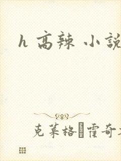 h 高辣 小说
