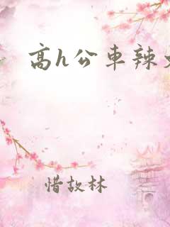 高h公车辣文