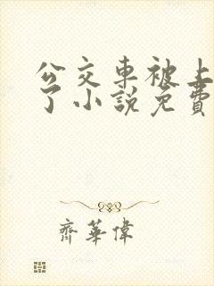 公交车被上高潮了小说免费阅读