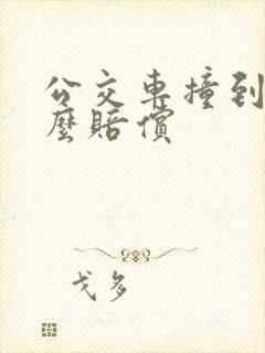 公交车撞到人怎么赔偿