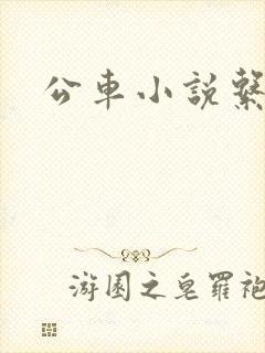 公车小说系列