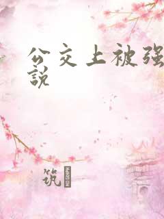 公交上被强插小说
