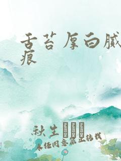 舌苔厚白腻有齿痕