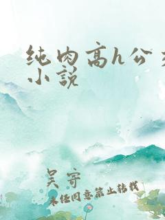 纯肉高h公交车小说