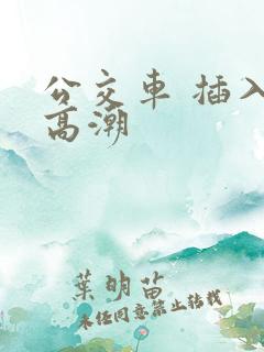 公交车 插入 高潮