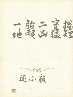一胎二宝总裁爹地超凶猛短剧免费全集