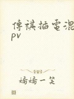 传祺插电混动mpv