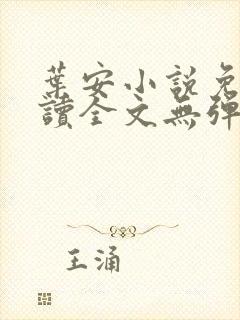 叶安小说免费阅读全文无弹窗