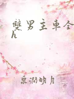双男主车全肉高h