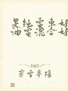 是纯电车好还是油电混合好呢