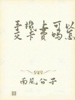 手机上可以充公交卡费吗怎么充