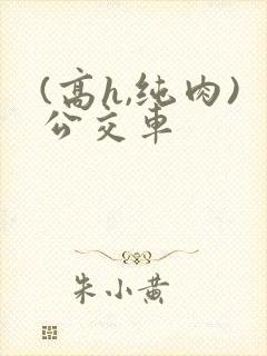 (高h,纯肉)公交车