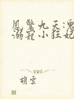 凤惊九天:鬼帝溺宠小狂妃