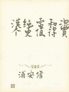 汉纯电和混动哪个更值得买