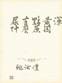 尿有点黄浑浊是什么原因
