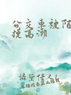 公交车被陌生人摸高潮