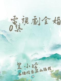 电视剧金婚第50集
