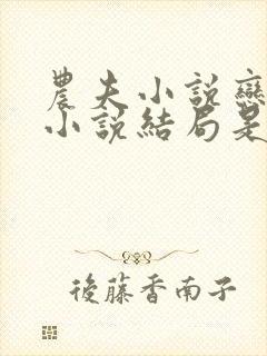 农夫小说恋老妇小说结局是什么