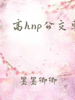 高hnp公交车
