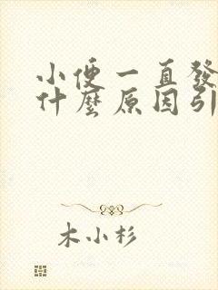 小便一直发黄是什么原因引起的
