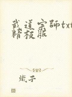 武道宗师txt精校版