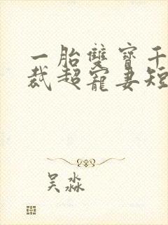 一胎双宝千亿总裁超宠妻短剧