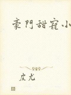 豪门甜宠小说