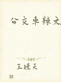 公交车辣文h