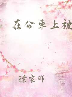 在公车上被轮干