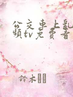 公交车上乱欲视频tv免费看