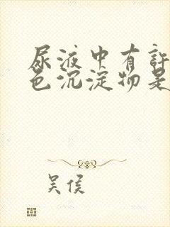 尿液中有许多白色沉淀物是什么原因