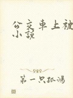 公交车上被插入小说