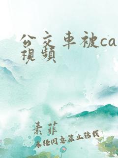 公交车被cao视频