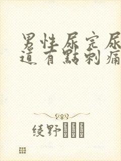 男性尿完尿后尿道有点刺痛怎么办