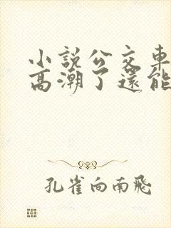 小说公交车被上高潮了还能坐吗小说