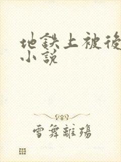 地铁上被后入的小说