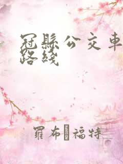 冠县公交车查询路线