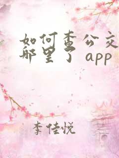 如何查公交车到哪里了 app