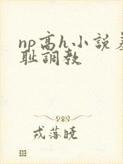 np高h小说羞耻调教