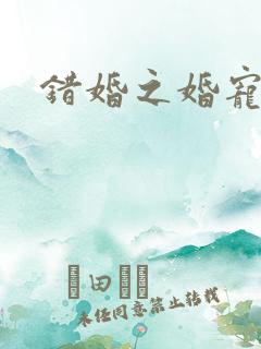 错婚之婚宠一世