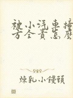 被小汽车撞了对方全责怎么赔偿