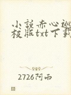 小说赤心巡天精校版txt下载