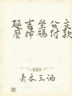 延吉坐公交车怎么扫码付款