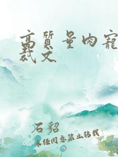 高质量肉宠文总裁文