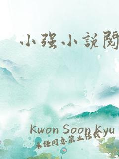小强小说阅读网